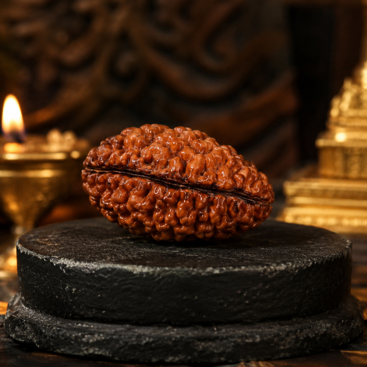 ChatGPT Image May 27, 2026, 05_44_22 PM 2 Mukhi Rudraksha - Image 1